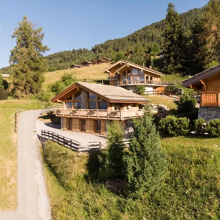Flocon De Neige By Interhome Chalet Nendaz