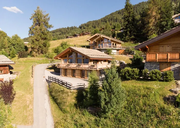 Flocon De Neige By Interhome Chalet Nendaz